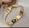 Premium Quality stainless steel handcuff