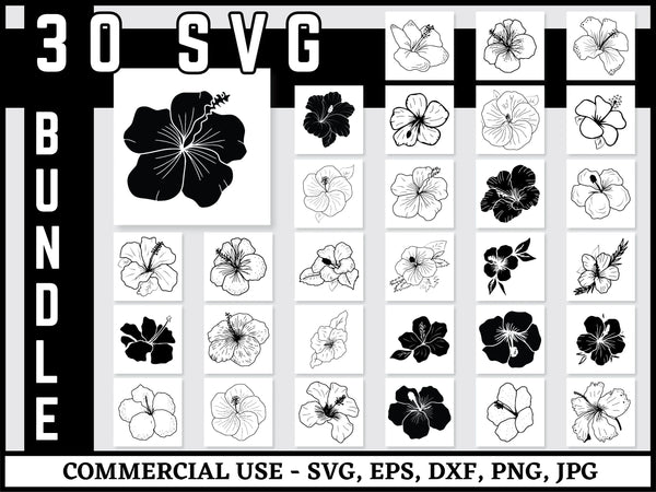 Tropical Flower SVG Bundle | Hibiscus Leaves SVG PNG DXF EPS | Tropical Floral Clipart Cut Files for Cricut | Summer Vector Design