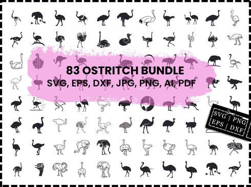 Ostrich SVG Bundle | Ostrich Bird SVG PNG DXF EPS | Ostrich Clipart Cut Files for Cricut | Farm Animal Vector Design