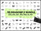 Dragonfly SVG Bundle | Dragonfly Insect SVG PNG DXF EPS | Dragonfly Clipart Cut Files for Cricut | Nature Vector Design