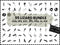 Lizard SVG Bundle | Gecko Reptile SVG PNG DXF EPS | Lizard Clipart Cut Files for Cricut | Reptile Vector Design