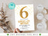 Gold Six Birthday Invitation, Gold Glitter Birthday Party Invitation, Golden Birthday 6th Invitation, Gold Party Invite, Instant Download